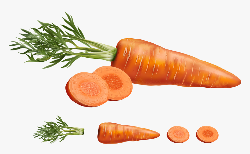 Carrot Juice Vegetable Carrots - Realistic Carrot Vector, HD Png Download