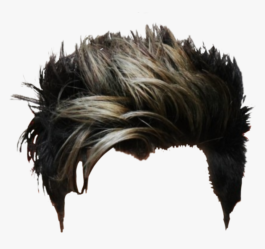 Hair Colour Mens 2017, HD Png Download