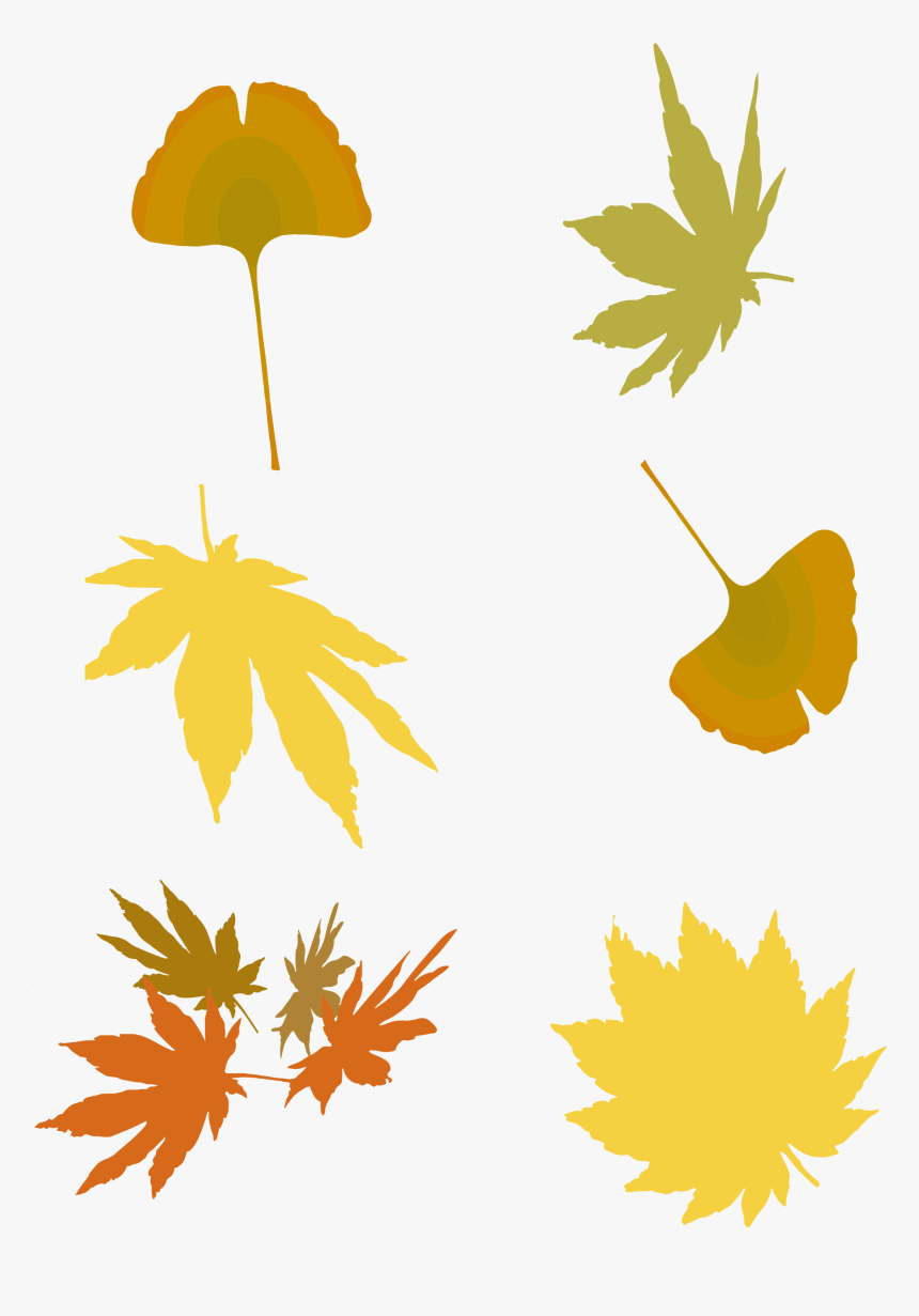 Transparent Ginkgo Leaf Clipart, HD Png Download
