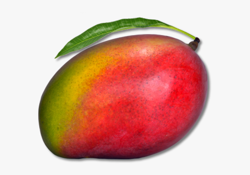 Mango Png Free Download , Png Download - Mango With Transparent Background, Png Download