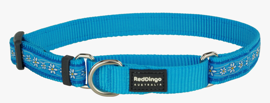 Belt, HD Png Download