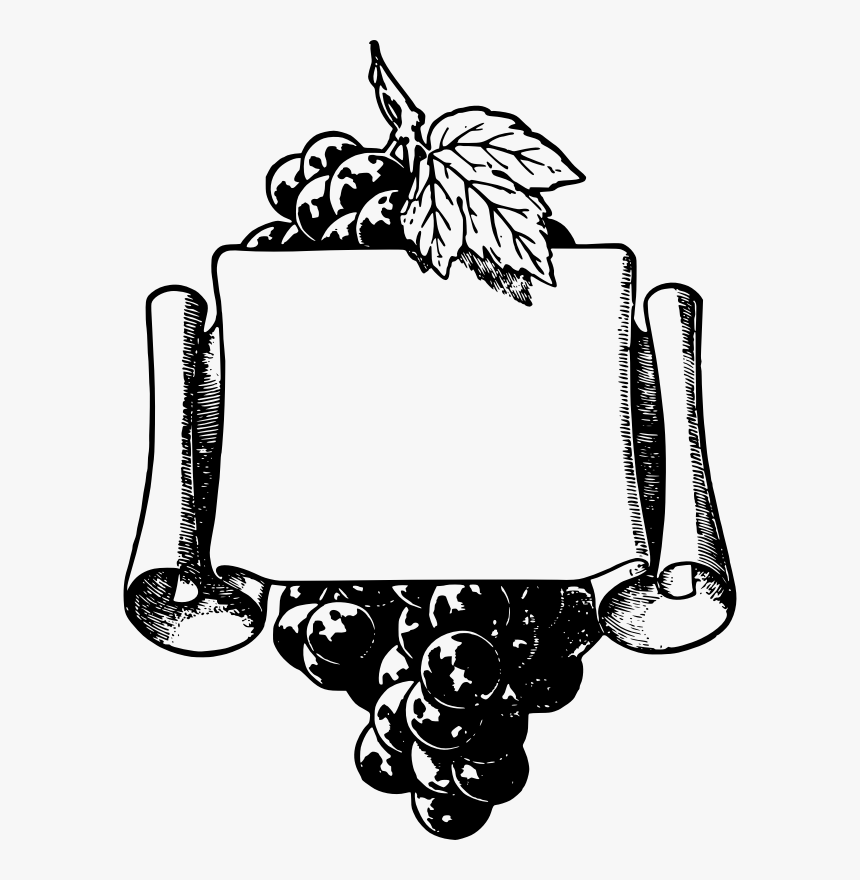 Wonderful Grapes Frame - Grape Vine Border Clip Art Black And White, HD Png Download