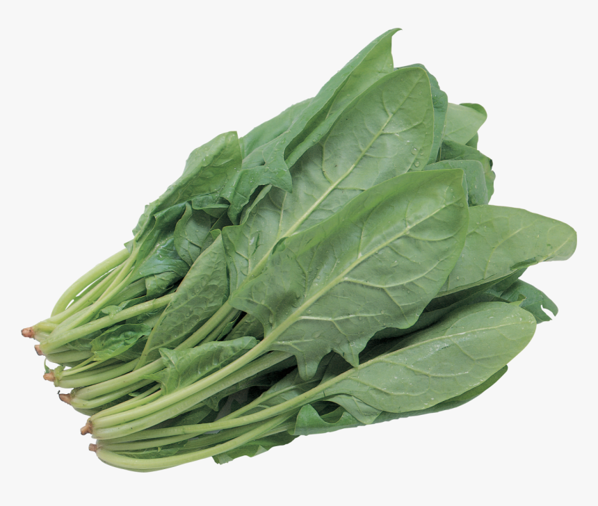Salad Png Image - Green Leafy Vegetables Png, Transparent Png