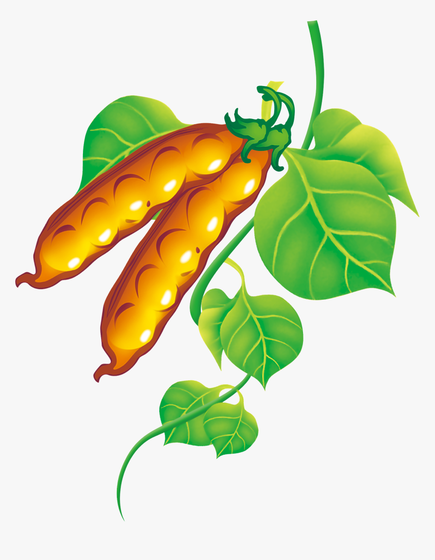 Pea Clipart Green Fruit Vegetable - Clipart Of Fall Fruits And Vegetables, HD Png Download