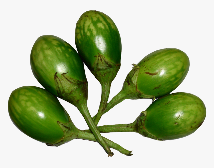Brinjal Green Png Image - Brinjal Images Hd Png, Transparent Png