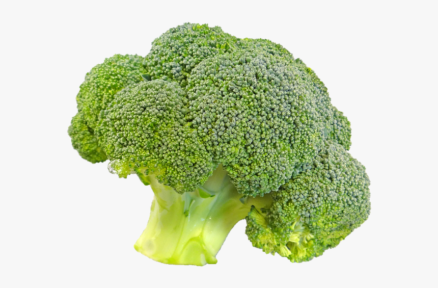 Broccoli Vegetable Wallpaper - Broccoli Transparent Background, HD Png Download