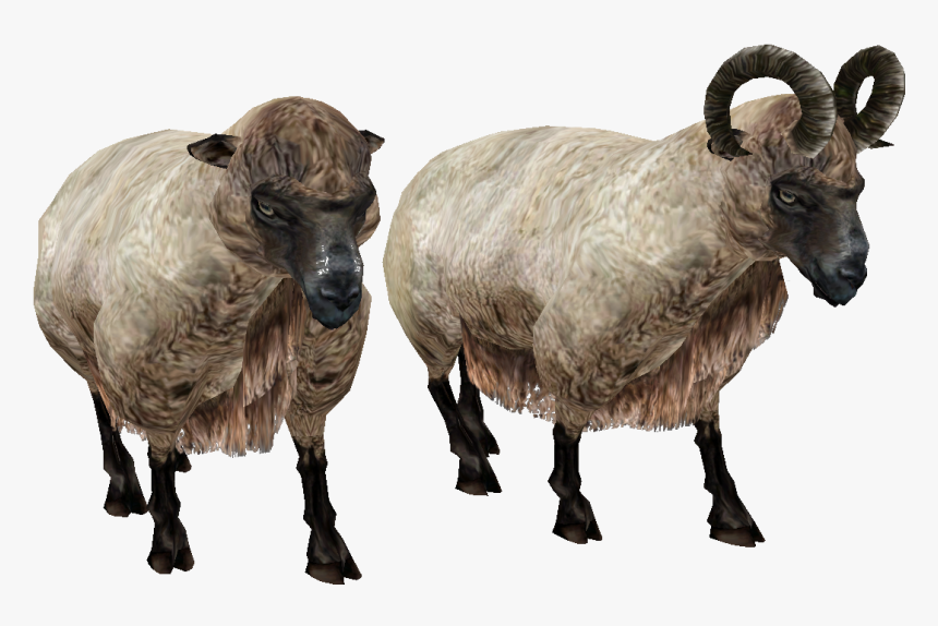 Sheep Png Image - Horned Sheep Png, Transparent Png