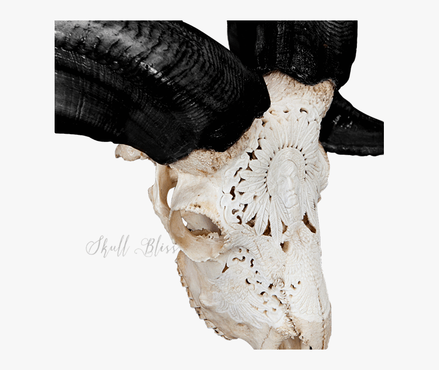 Carved Ram Skull - Sculpture, HD Png Download