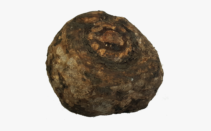 Igneous Rock, HD Png Download