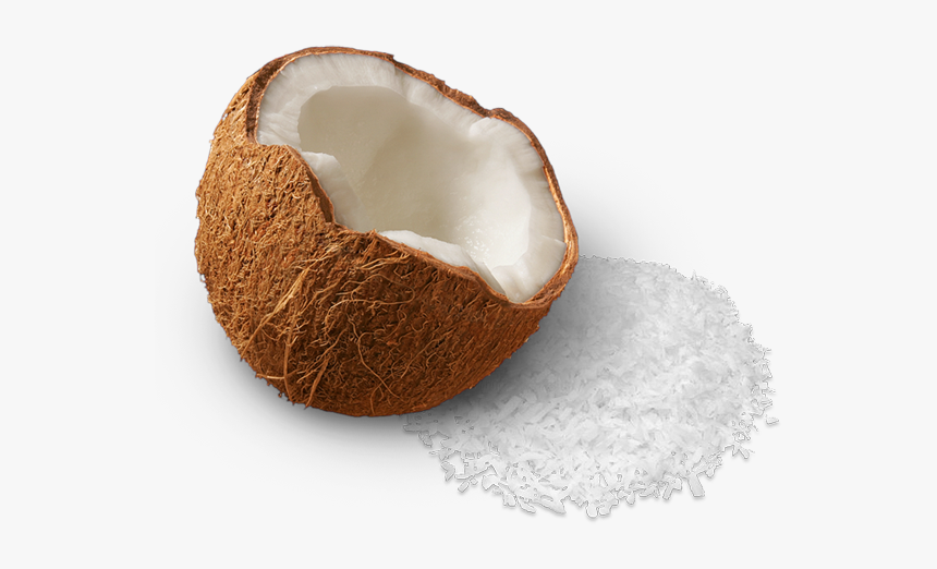 Transparent Background Coconut Png, Png Download