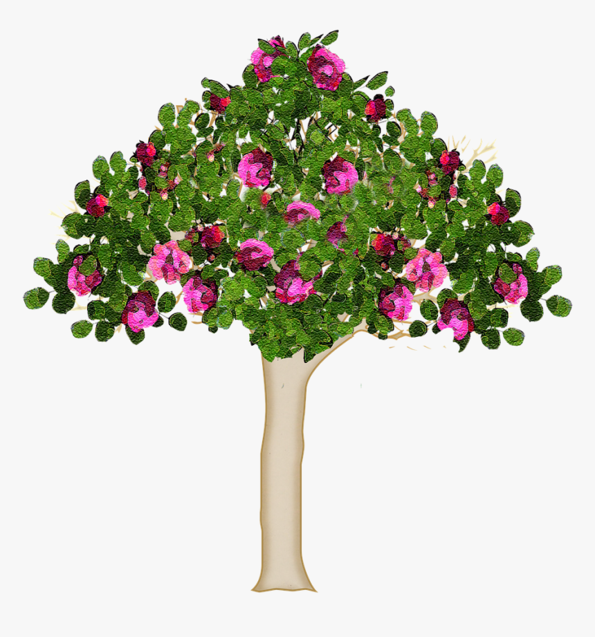 Tree Nature Forest Free Photo - Kwitnące Drzewo Png, Transparent Png
