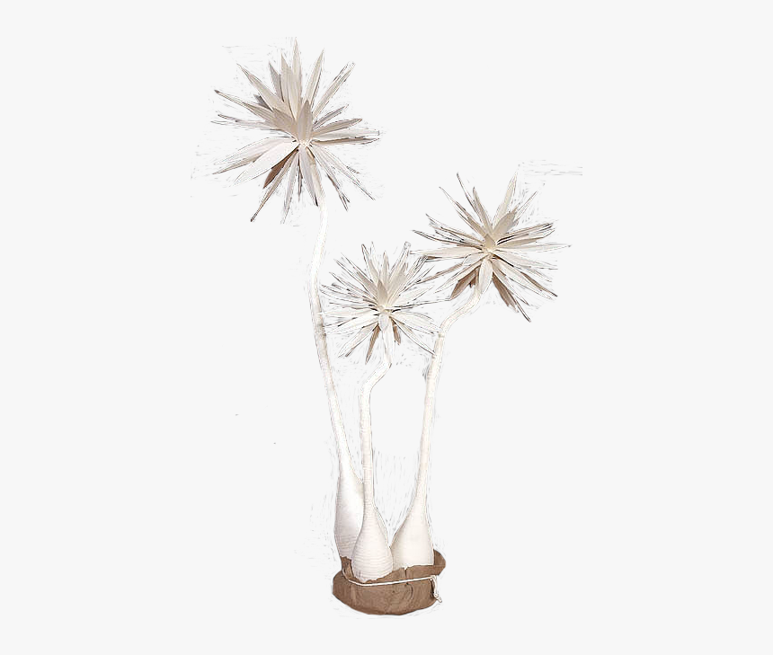 Dandelion, HD Png Download