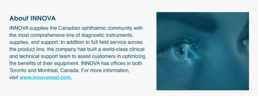 Cartilaginous Fish, HD Png Download