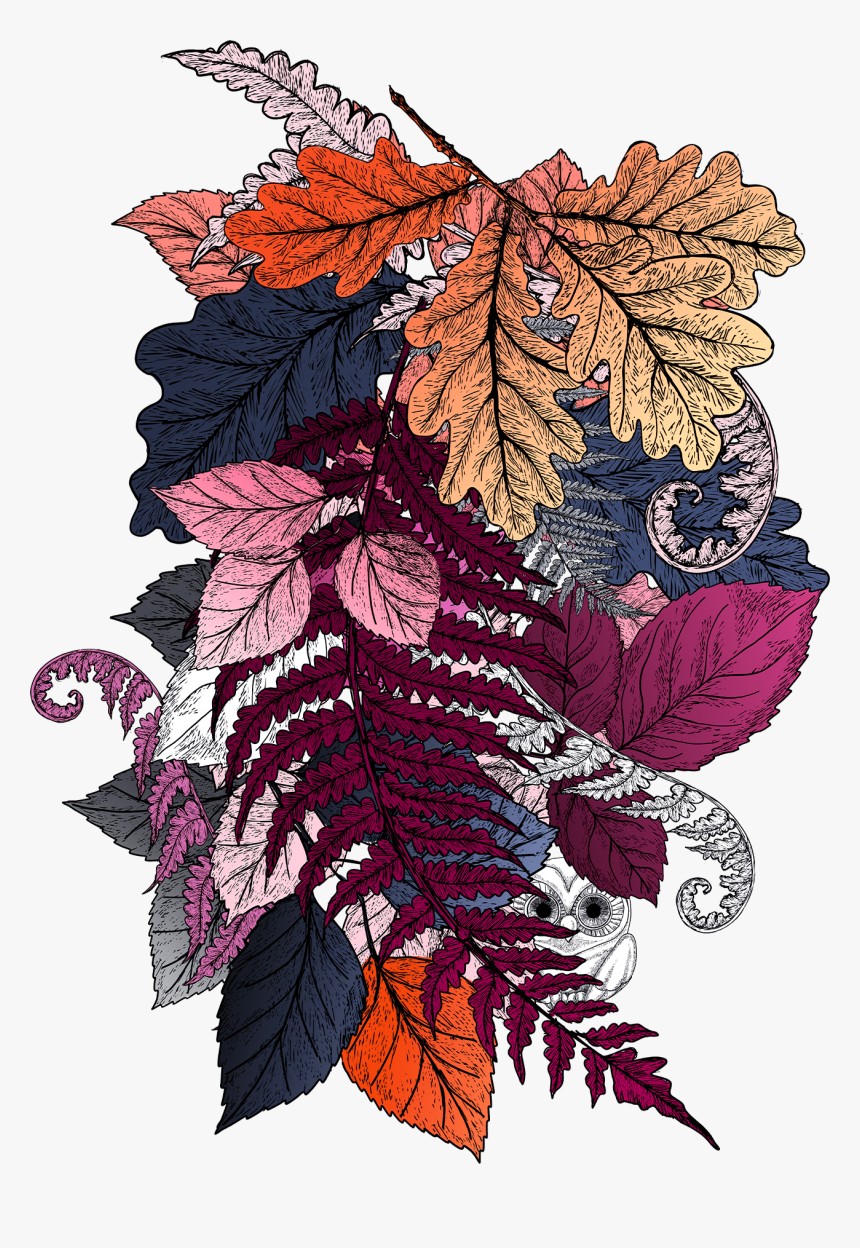 Illustration, HD Png Download