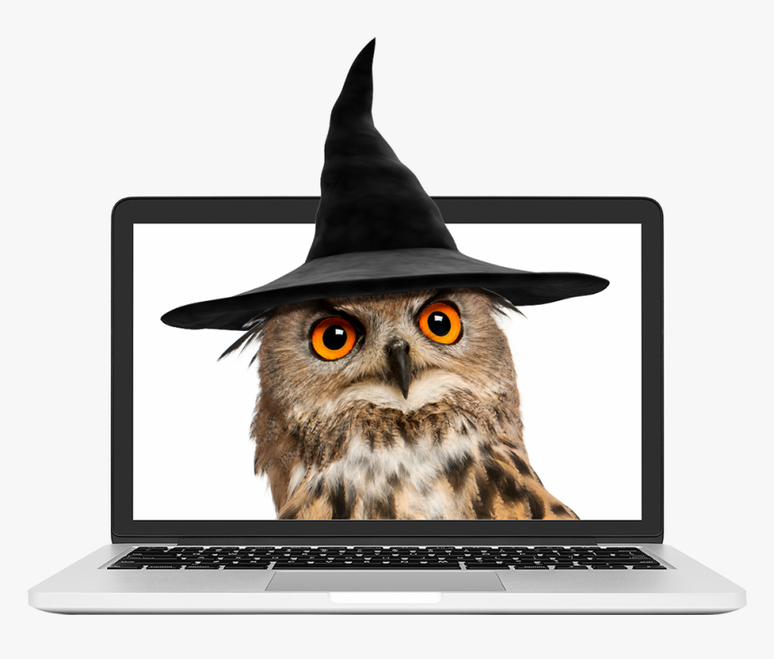 Owl Wearing A Wizard Hat - Netbook, HD Png Download