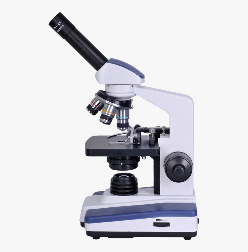 Microscope Clipart Black And White Images - Png مجهر, Transparent Png