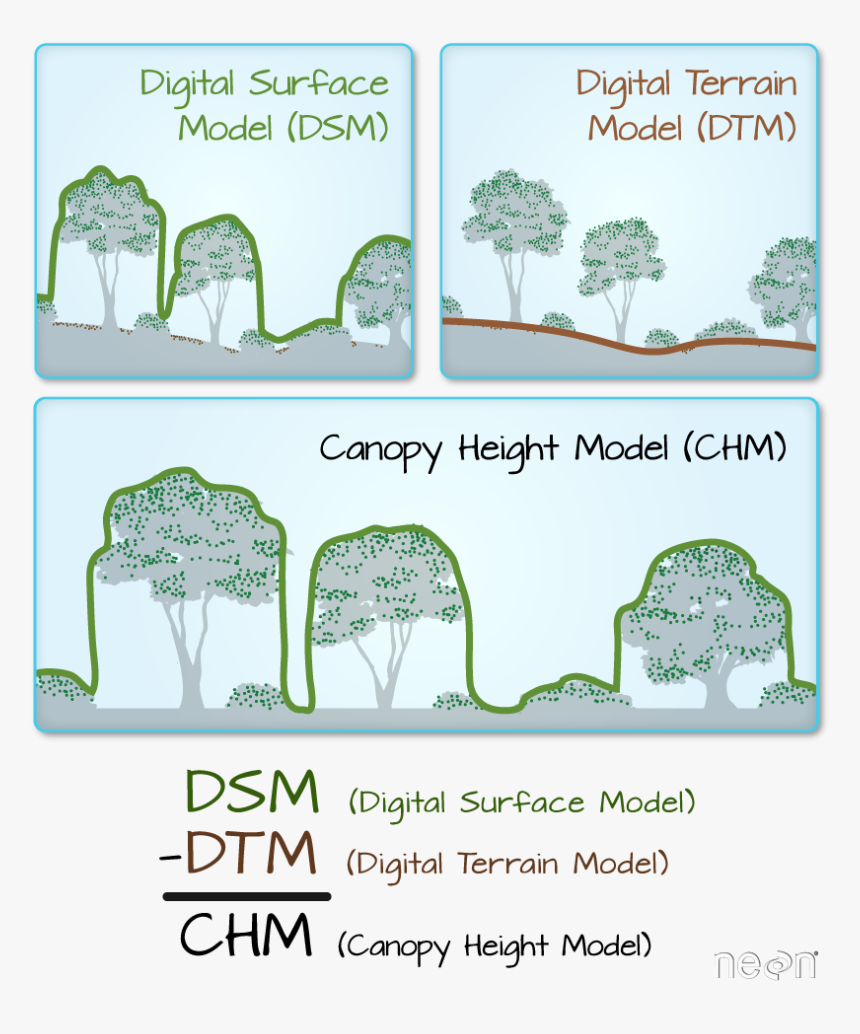 Lidar Derived Dsm, Dtm And Chm - Canopy Height Model Chm, HD Png Download