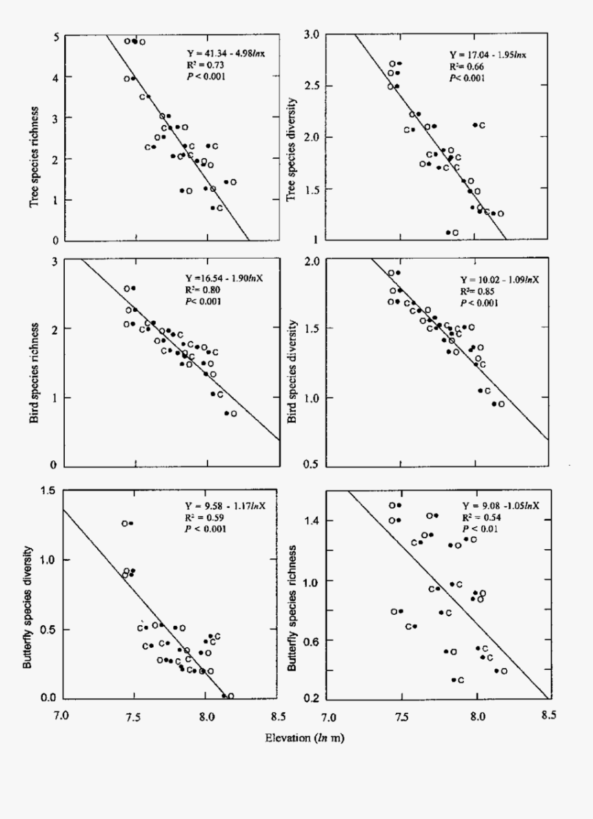 Diagram, HD Png Download