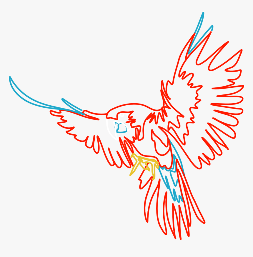 Parrot - Illustration, HD Png Download