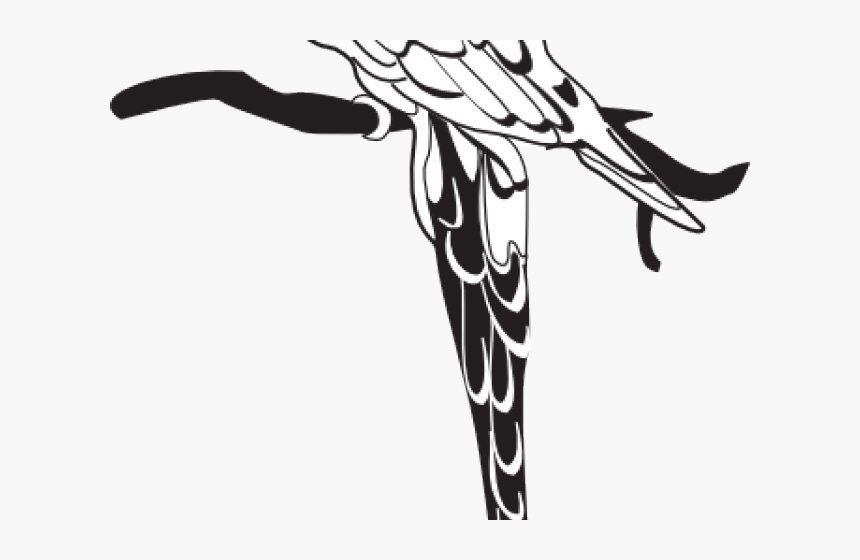 Monochrome Clipart Parrot - Illustration, HD Png Download