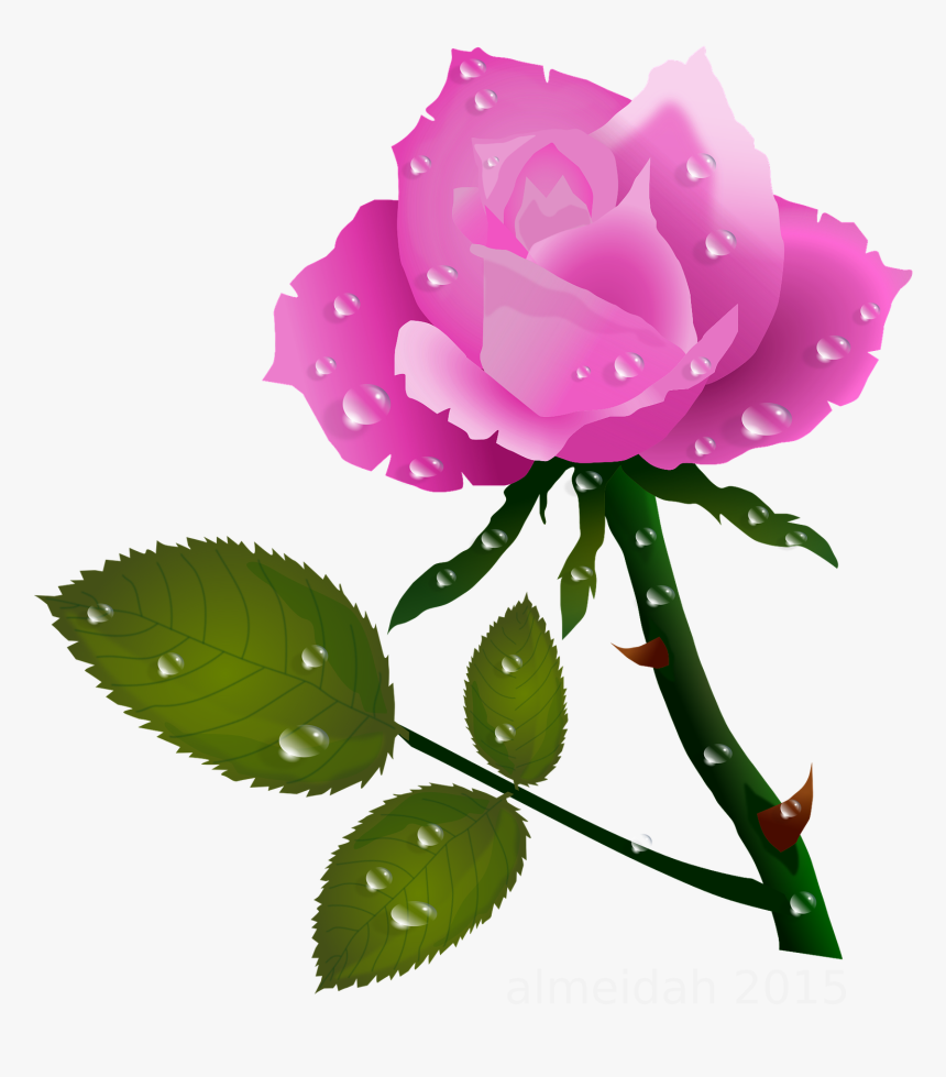 Pink Rose With Water Drops Pink Roses, Planter, Water - Rose Flower Gif Clipart, HD Png Download