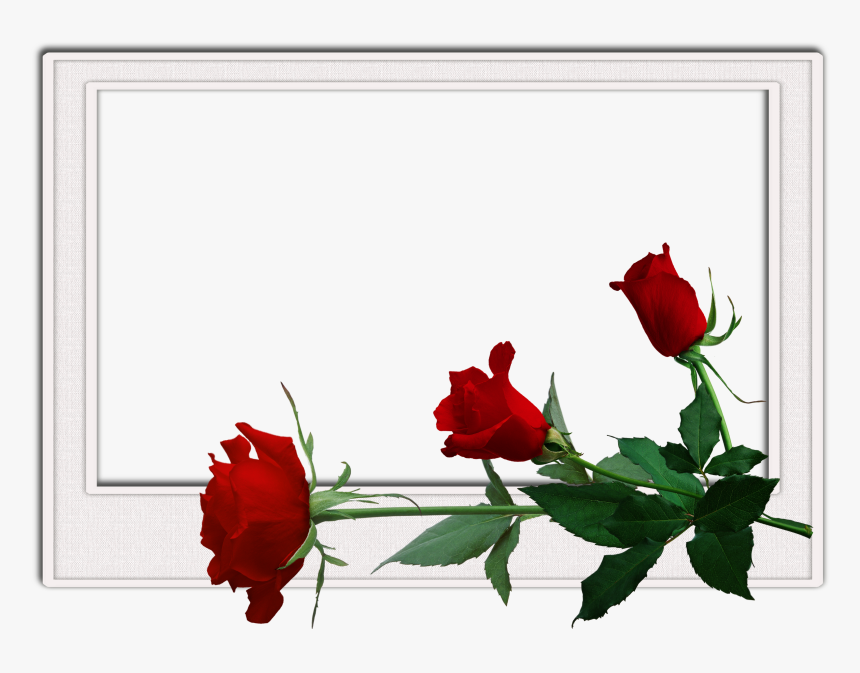 International Men Day Wishes, HD Png Download