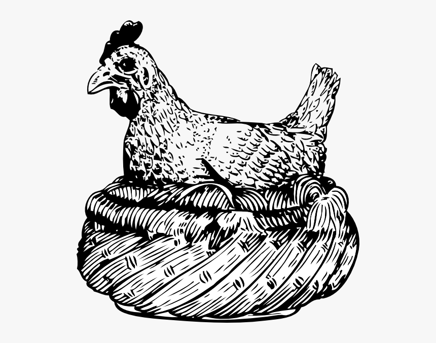 Old Hen In A Basket Svg Clip Arts - Hen On A Rock Clipart Black And White, HD Png Download