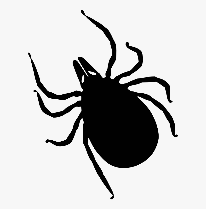 Simple Tick Silhouette - Bug Transparent Tick Clipart, HD Png Download