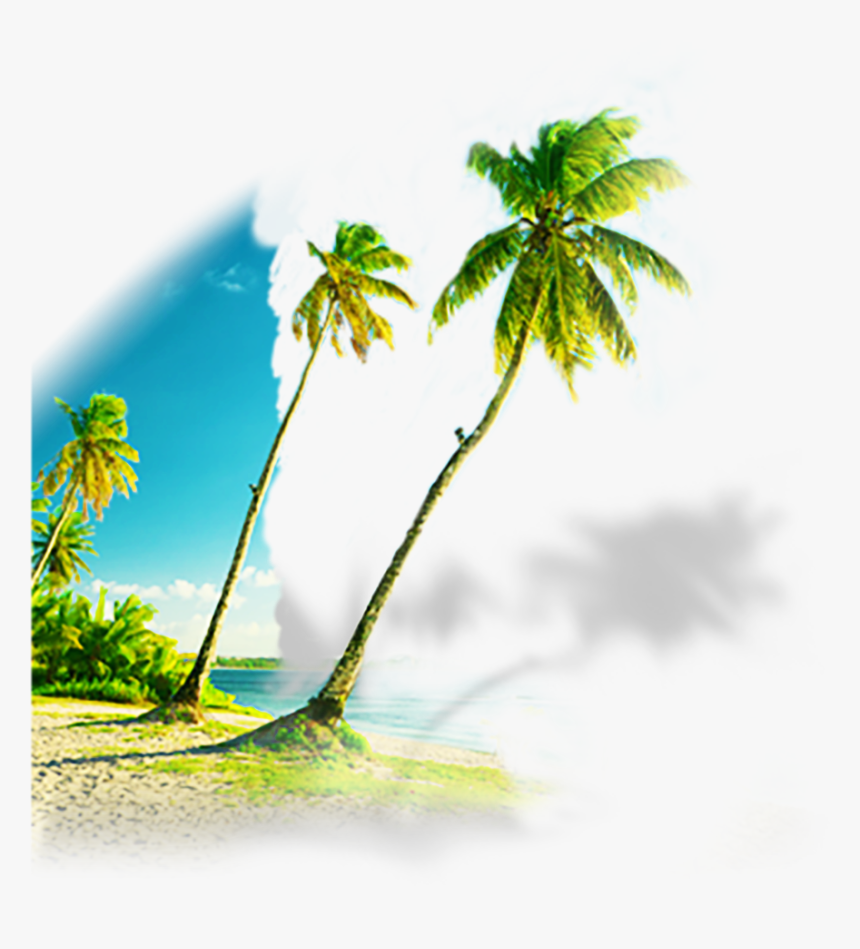 Clip Art, HD Png Download