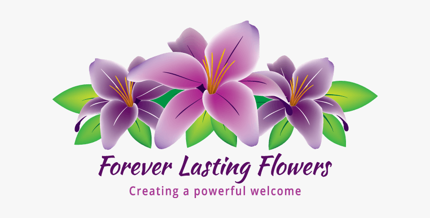 Petal, HD Png Download
