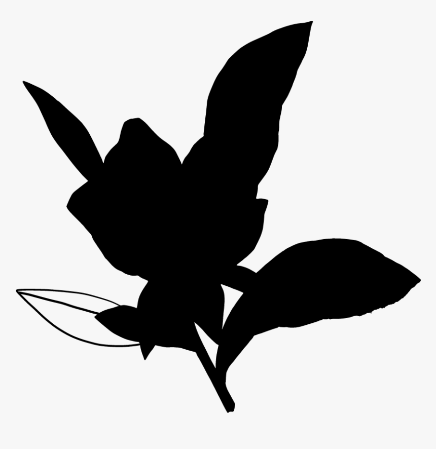 Webflowers3-01 - Illustration, HD Png Download