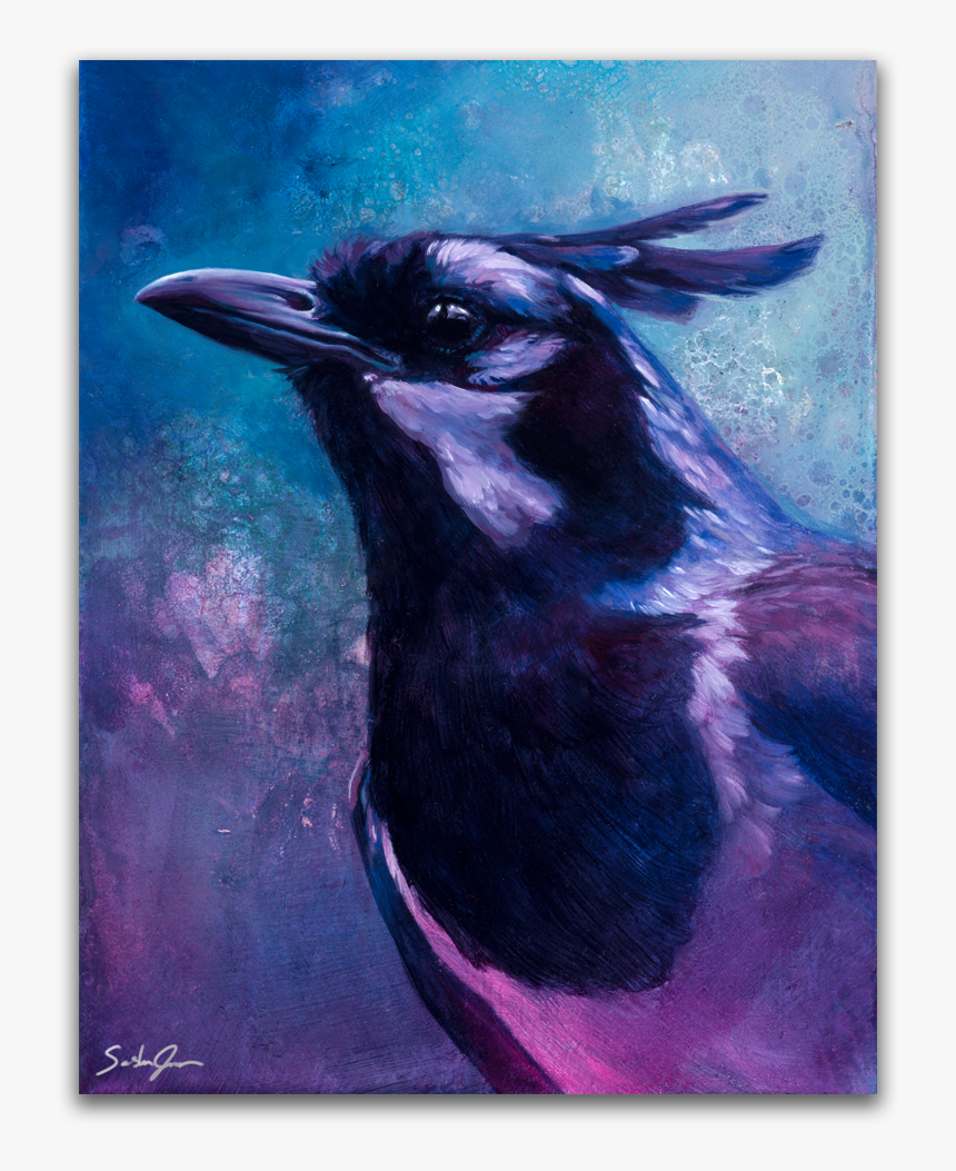 Magpie-jay, HD Png Download