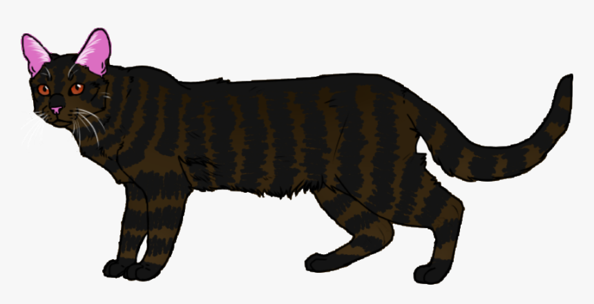 Puma , Png Download - Toyger, Transparent Png
