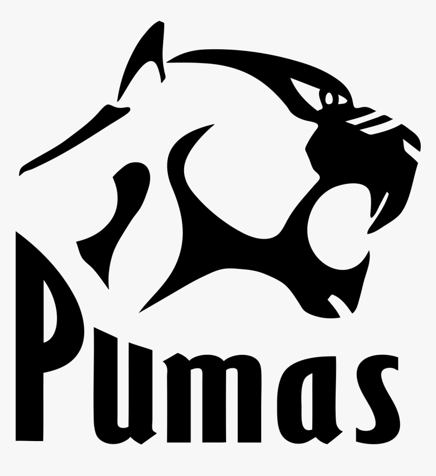 Transparent Cheetah Clipart - Phakisa Pumas Rugby Logo, HD Png Download