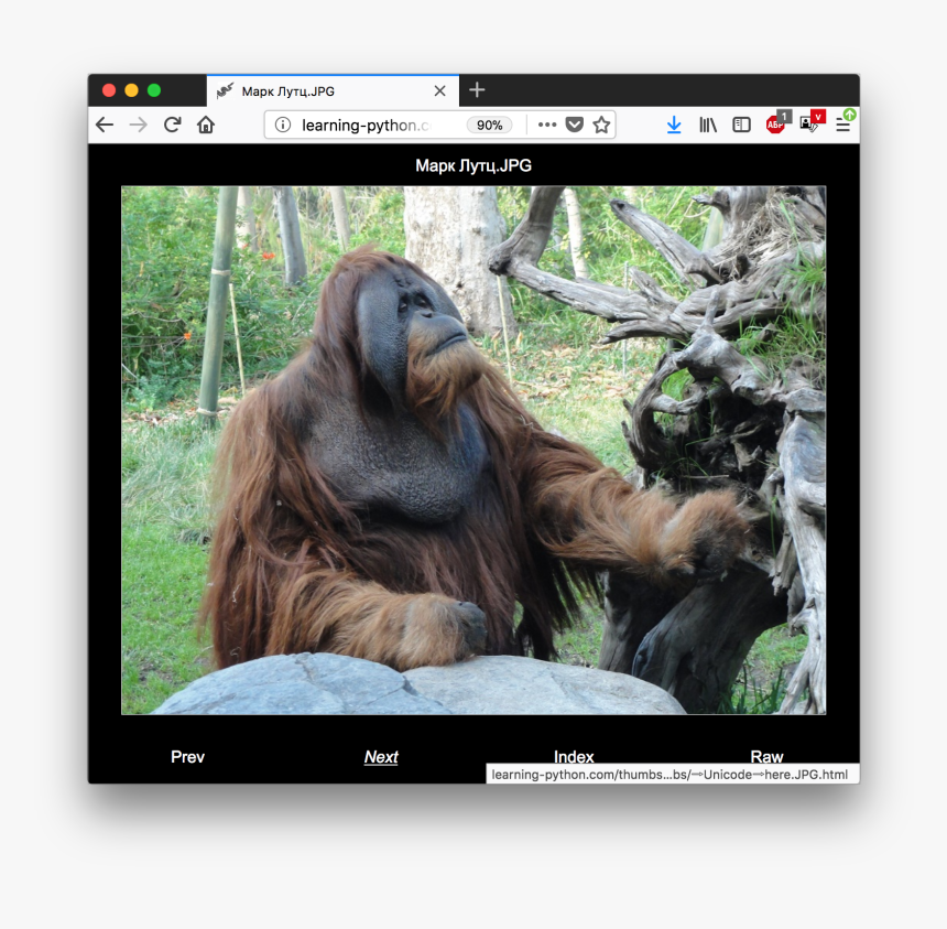 Screenshot, HD Png Download