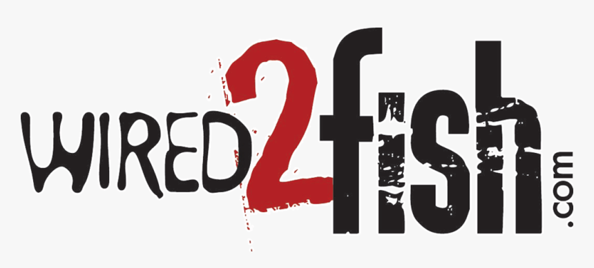 Wired To Fish Brainerd Lakes Area Fishing Guides Bait - Wired 2 Fish, HD Png Download