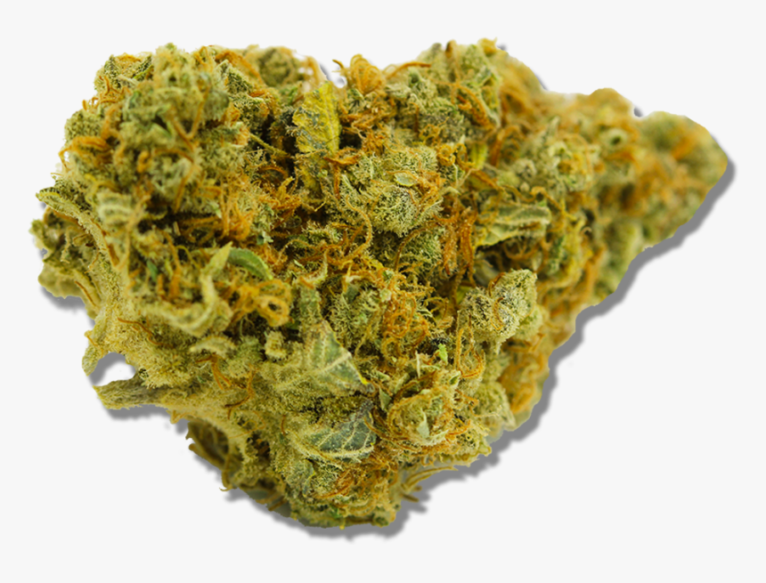 Moss, HD Png Download