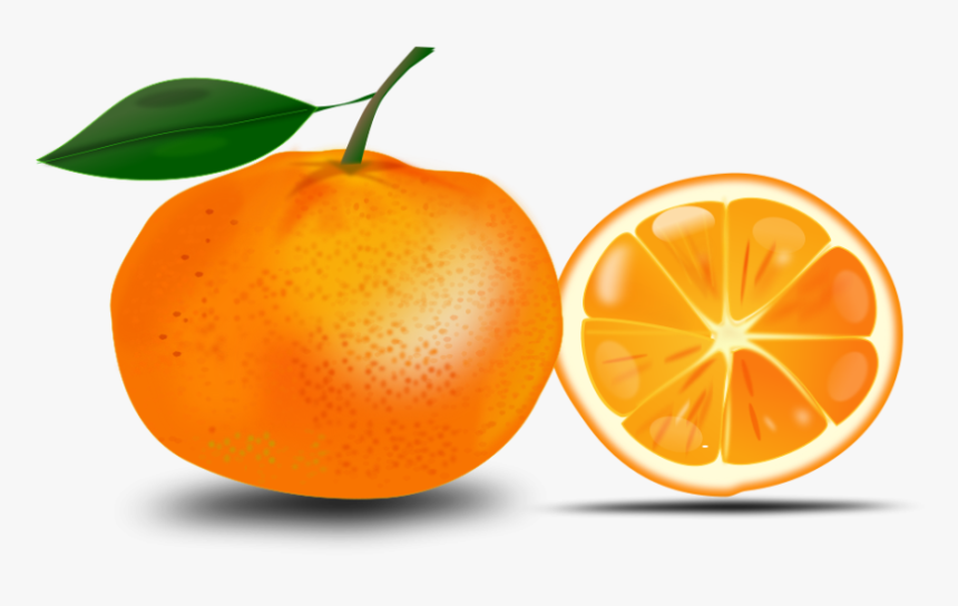 Orange Clipart - Orange Clipart Free, HD Png Download