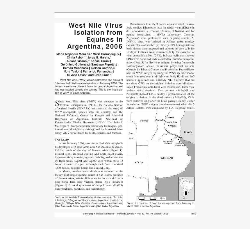 Less Is More, HD Png Download