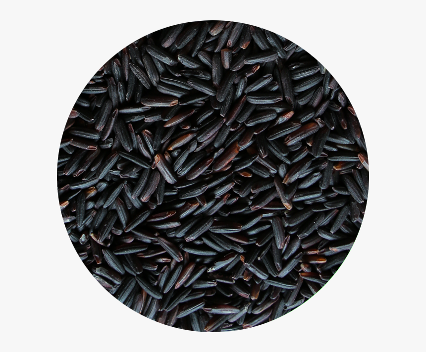 Thumb Image - Sprinkles, HD Png Download