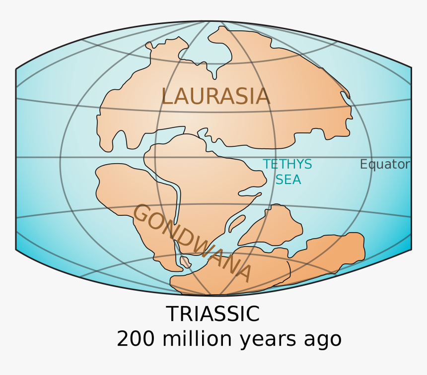 In The M - Pangea Laurasia Y Gondwana, HD Png Download