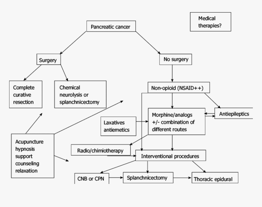 Pain Management For Pancreatic Cancer, HD Png Download