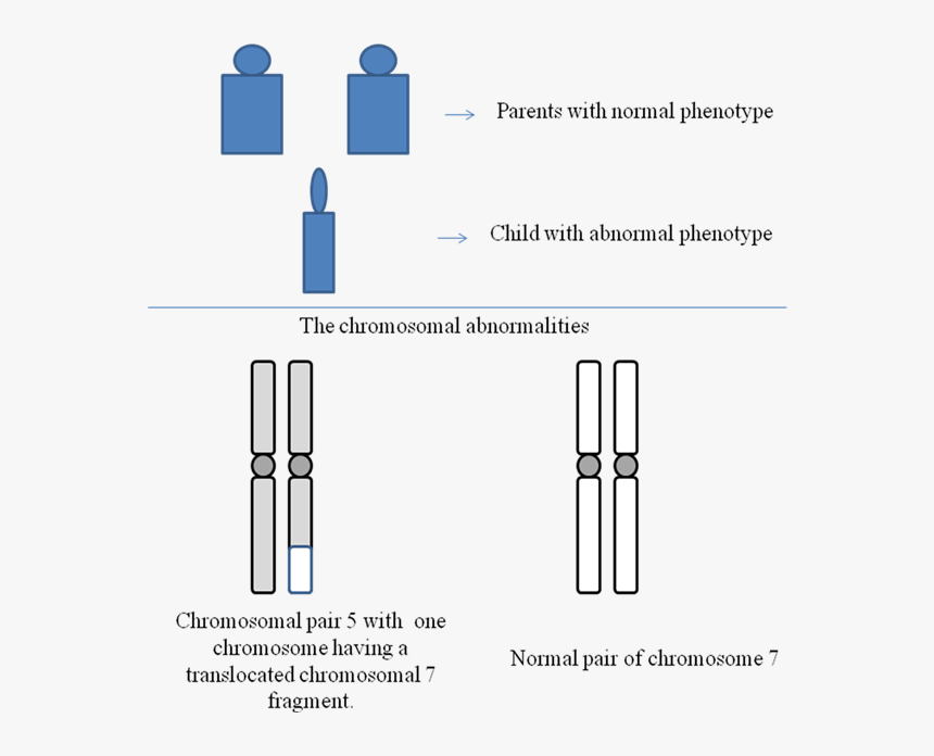 Diagram, HD Png Download