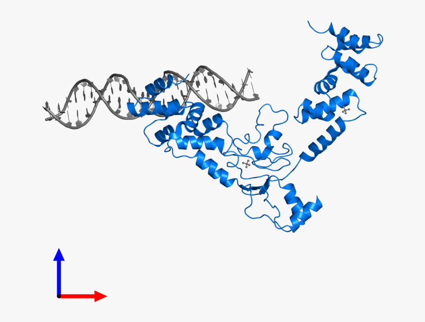 Clip Art, HD Png Download