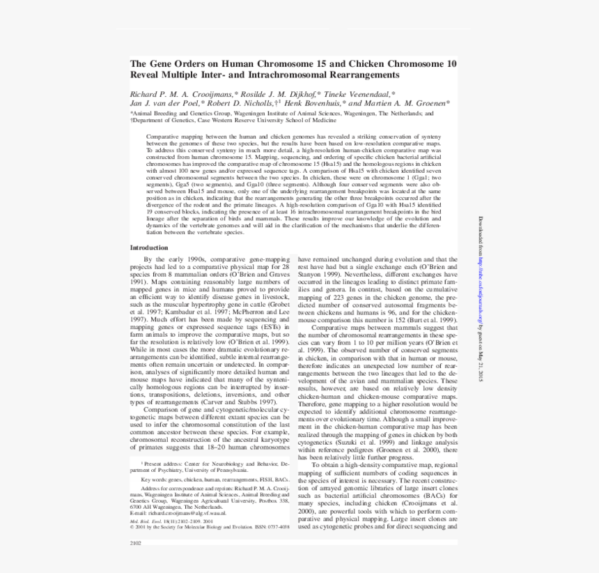 Document, HD Png Download