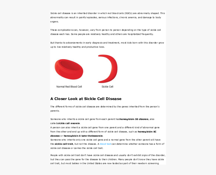 Document, HD Png Download