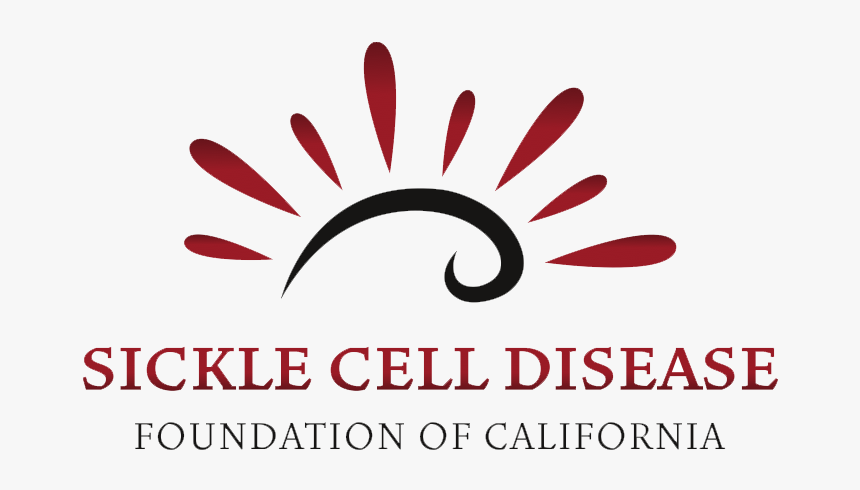 Savannah College Of Art And Design Hd Png Download Transparent