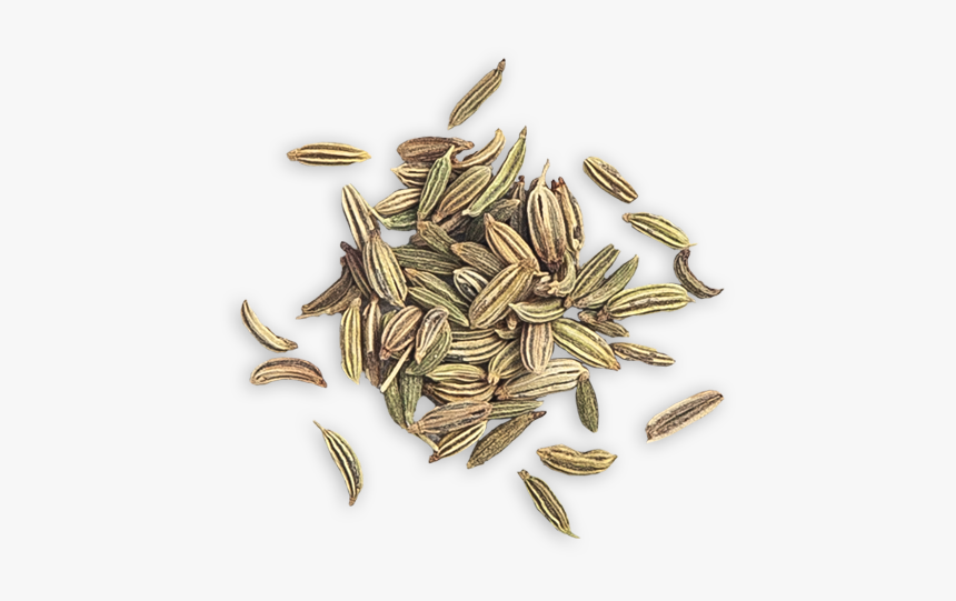 Fennel Seed - Whole Grain, HD Png Download