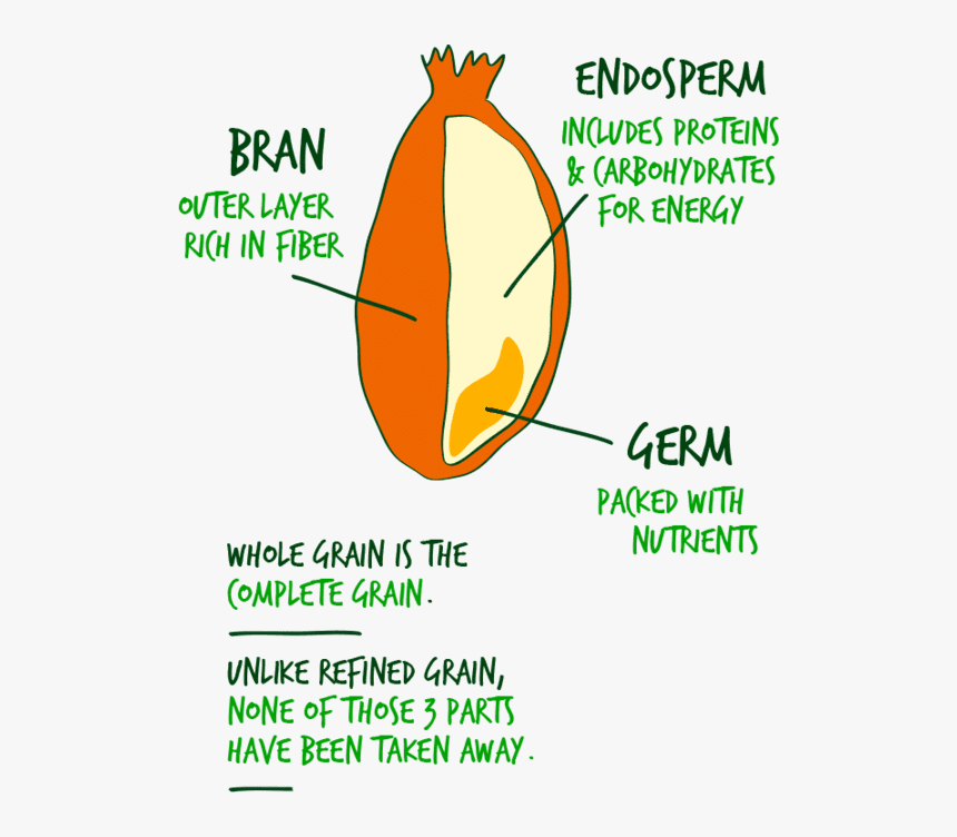 5 Seconds Of Summer, HD Png Download