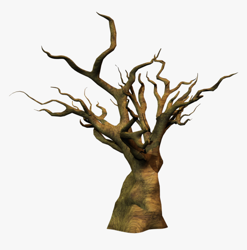 Thumb Image - Clipart Oak Tree Trunk, HD Png Download